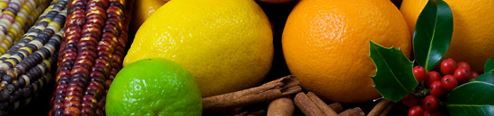 短信轰炸免费在线网站